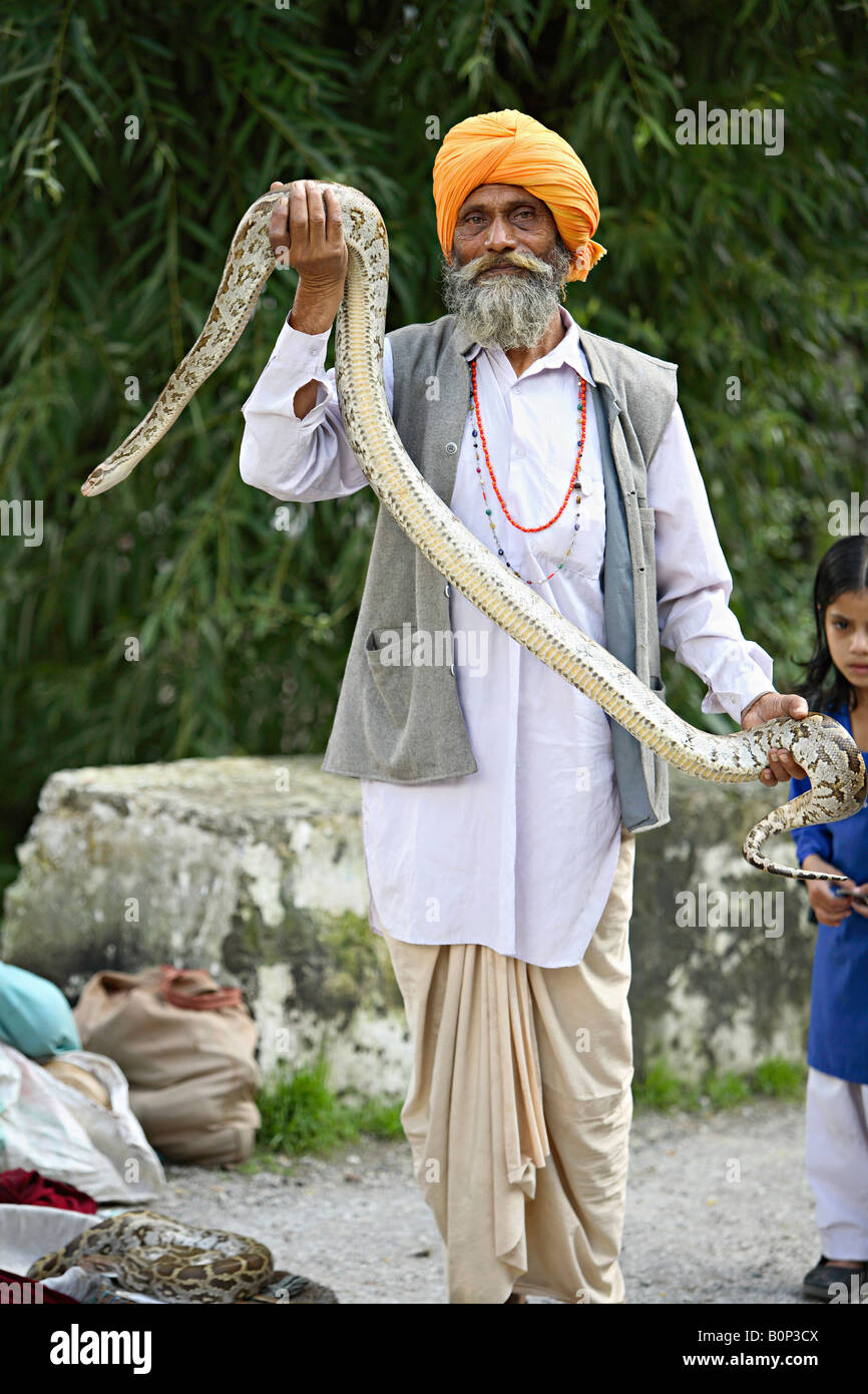 Un serpente incantatore tenendo un indiano ROCK Python. Python molurus molurus, non velenose. rare. Manali Himachal Pradesh, India Foto Stock