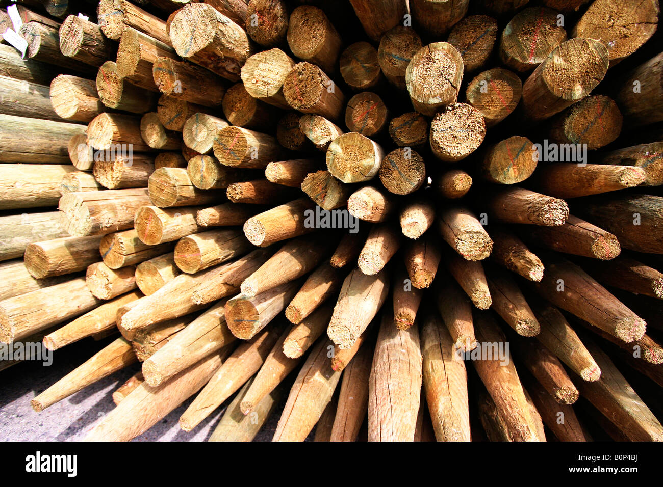 Un colpo di una pila di posti di legno. Foto Stock