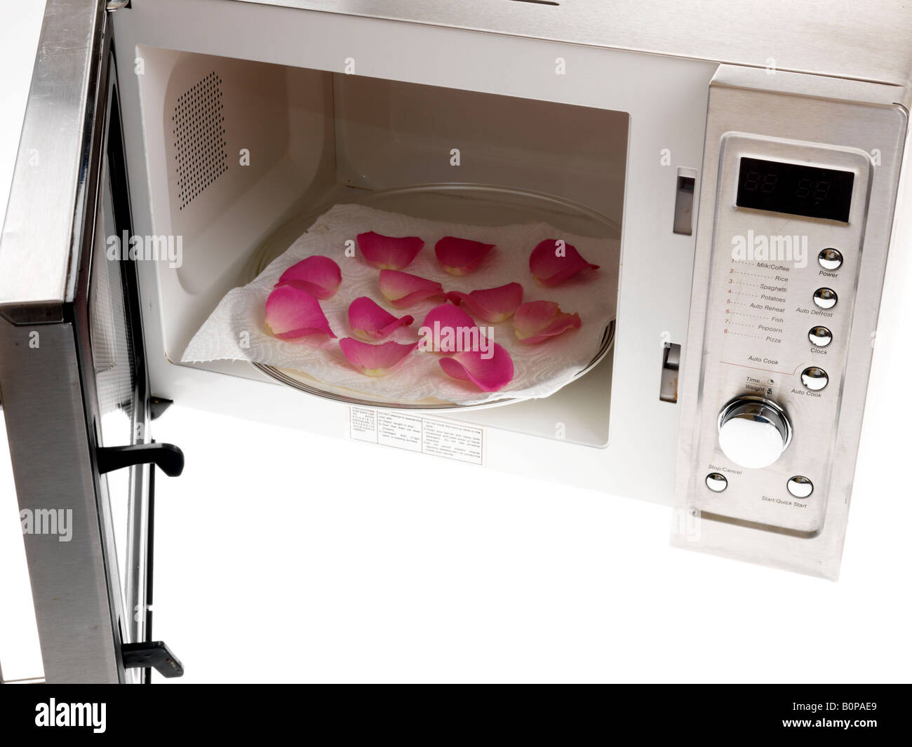 Petali di rosa nel forno a microonde Foto stock - Alamy