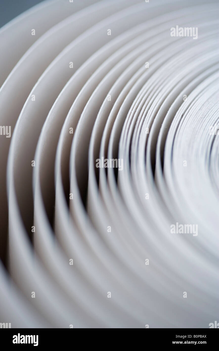 Carta bianca comune su un rotolo Foto Stock