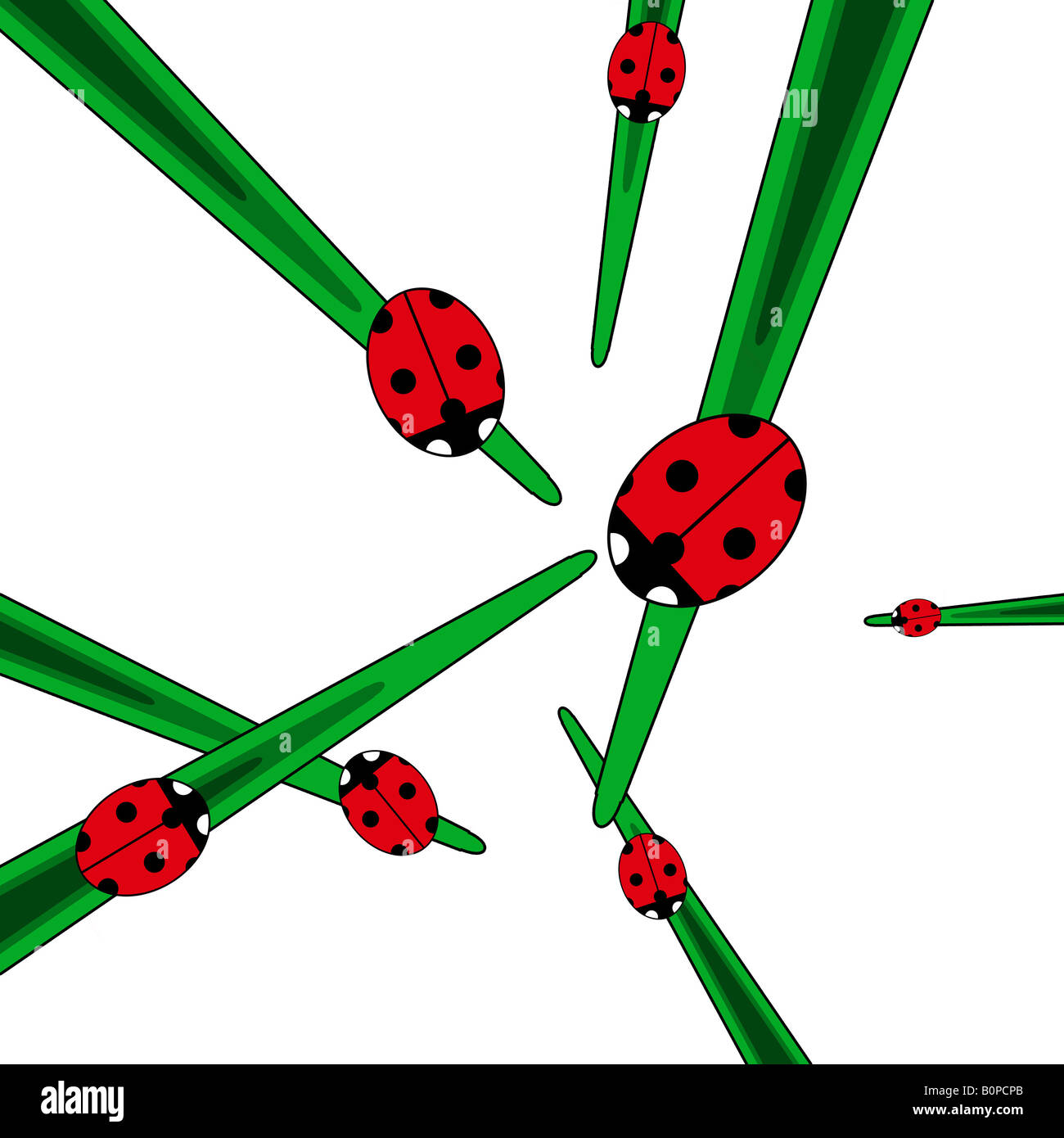 Coccinelle su erba illustrazione Foto Stock