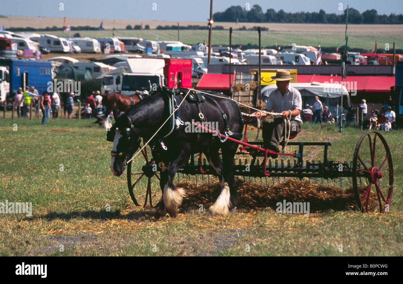 Shire Horse tirando un rastrello di erba presso la grande Dorset vapore Fair 2004 Foto Stock