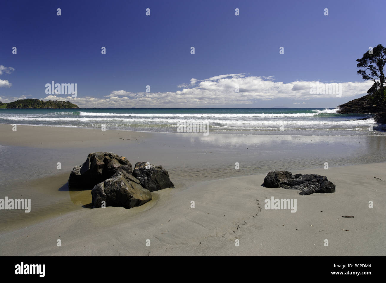 Pulita spiaggia sabbiosa sull isola di Waiheke, Nuova Zelanda Foto Stock