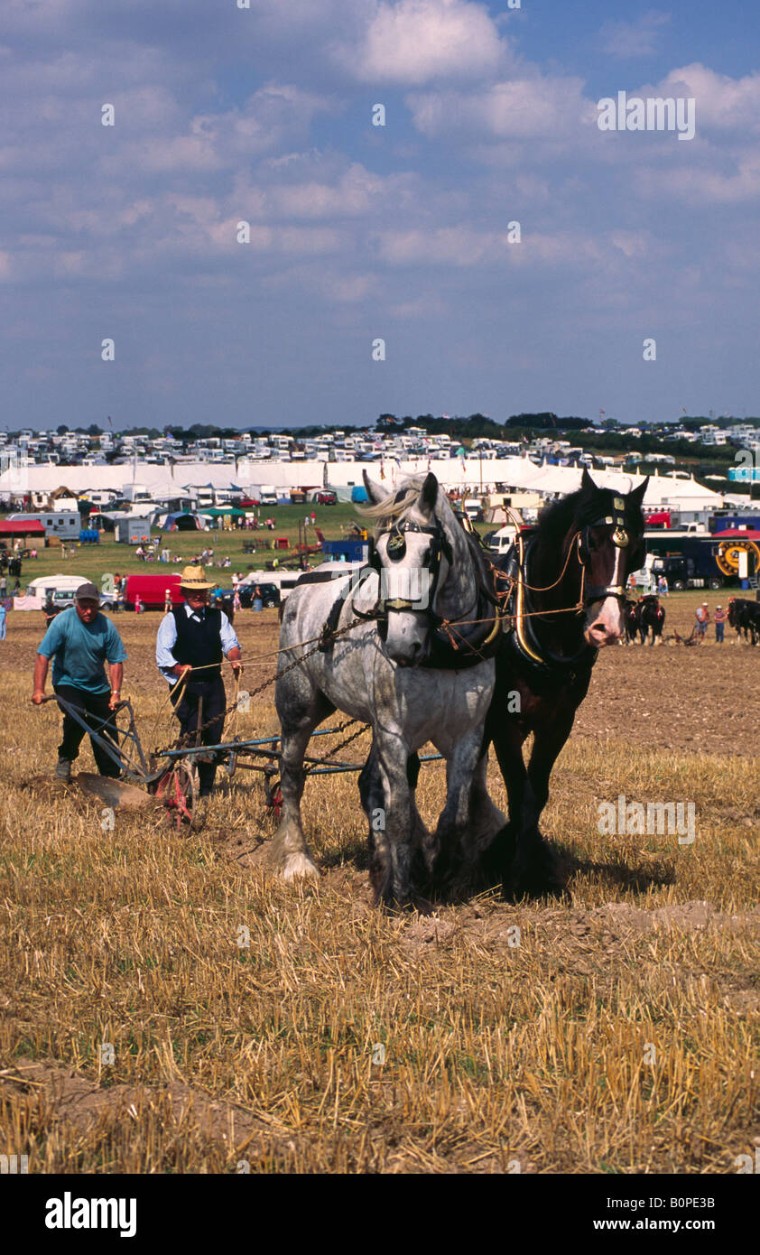 Team di Shire cavalli tirando un aratro al grande vapore Dorset Fair 2004 Foto Stock