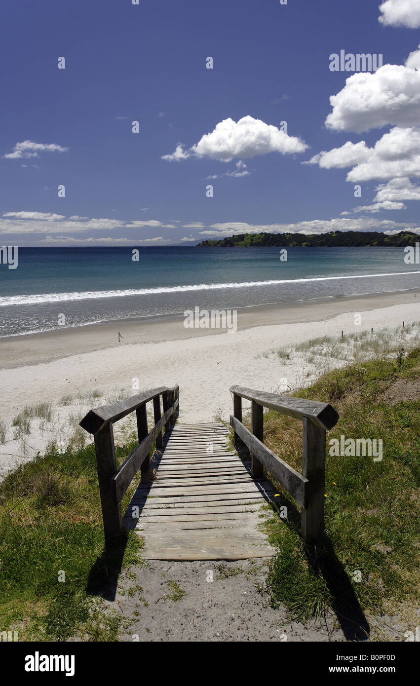 Spiaggia scene sulla spiaggia Ontangi, Waiheke Foto Stock