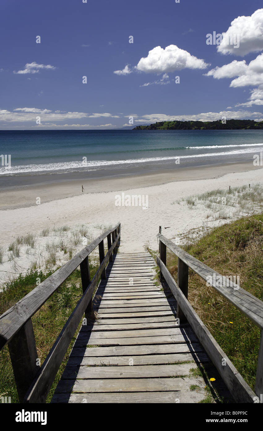 Spiaggia scene sulla spiaggia Ontangi, Waiheke Foto Stock