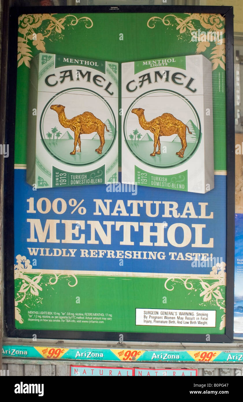 Camel Carbon datazione