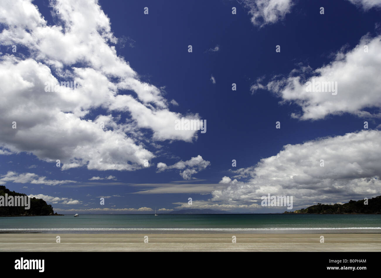 Pulita spiaggia sabbiosa sull isola di Waiheke, Nuova Zelanda Foto Stock