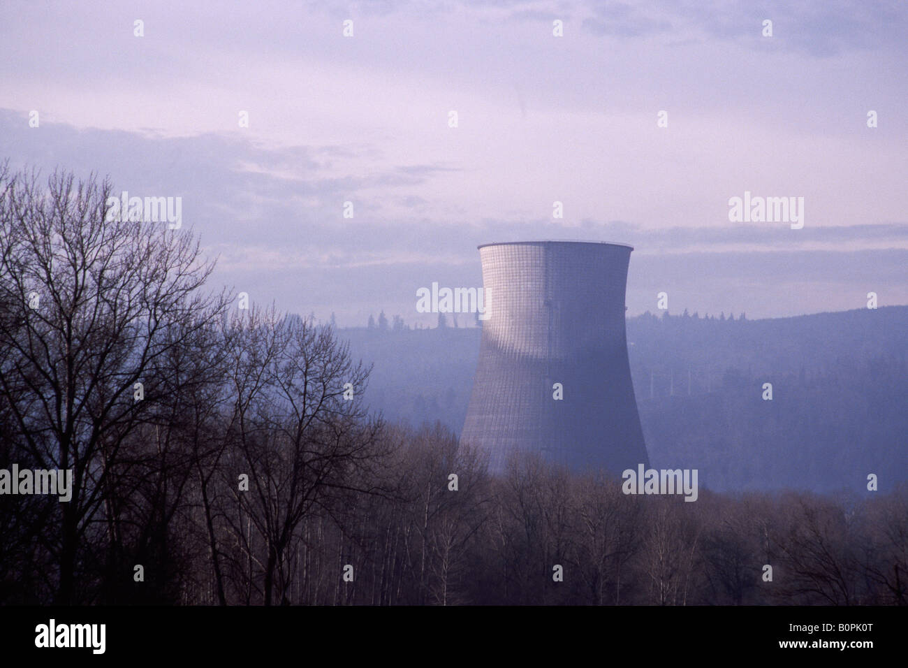 Trojan Nucleare torre di raffreddamento prima della demolizione, Ranieri, Oregon Foto Stock