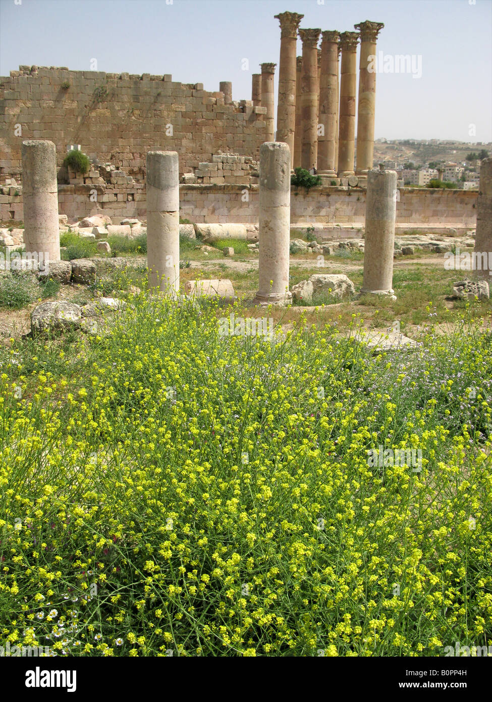 Le colonne romane nell'antica città di Jerash nel nord della Giordania Giordania, Medio Oriente Foto Stock