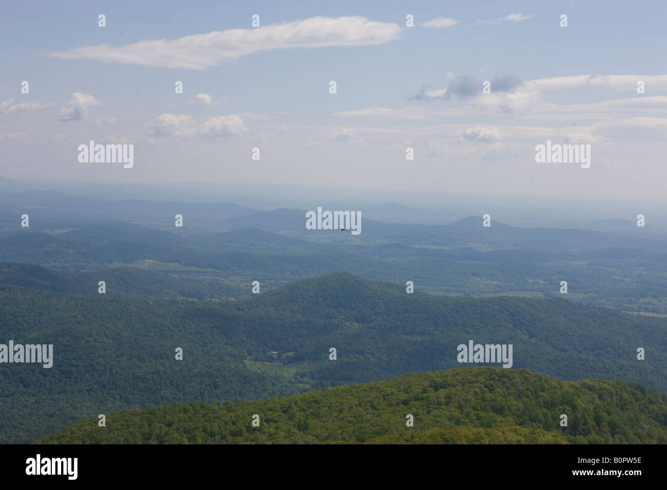 Un uccello vola sopra le Blue Ridge Mountains come visto dalla vetta del vecchio Rag montagna Parco Nazionale di Shenandoah Virginia STATI UNITI D'AMERICA Foto Stock