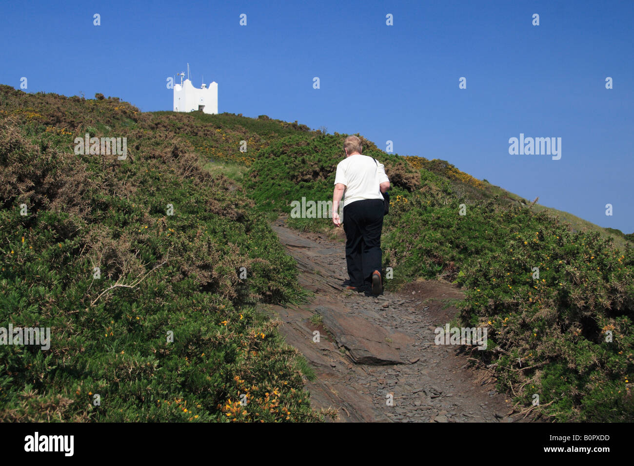 Salendo Willapark sul Boscastle di Tintagel sentiero costiero, Cornwall Foto Stock