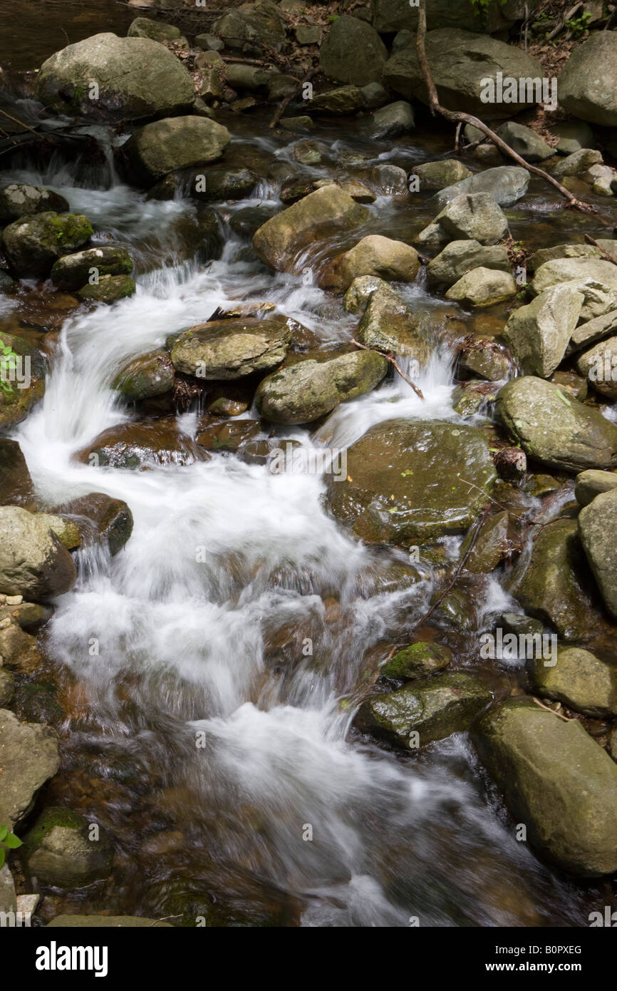 Eseguire Brokenback fluisce lungo il debolmente santificate Fire Road vicino al vecchio Rag Mountain Shenandoah National Park Madison County Virginia Foto Stock