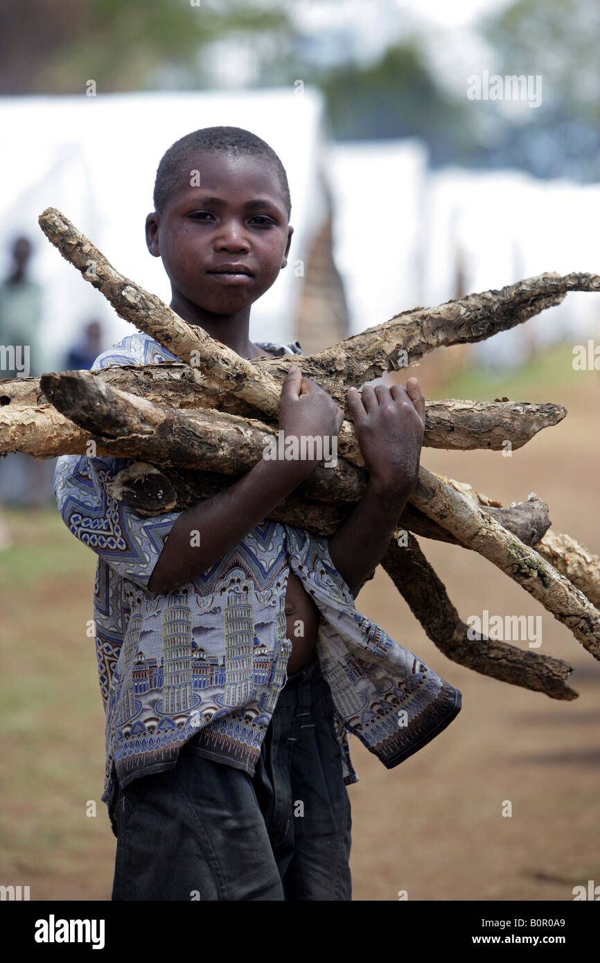 Per i rifugiati del Kenya boy withe legna (persone internamente sfollate = IDPs) nel campo di rifugiati foresta bruciato, Eldoret Foto Stock