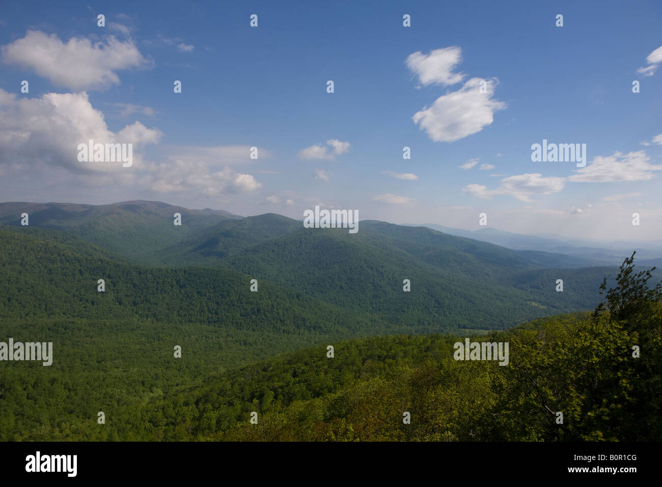 Vista aerea delle Blue Ridge Mountains dal crinale sentiero per il vertice della vecchia Rag Mountain Shenandoah National Park VA USA Foto Stock