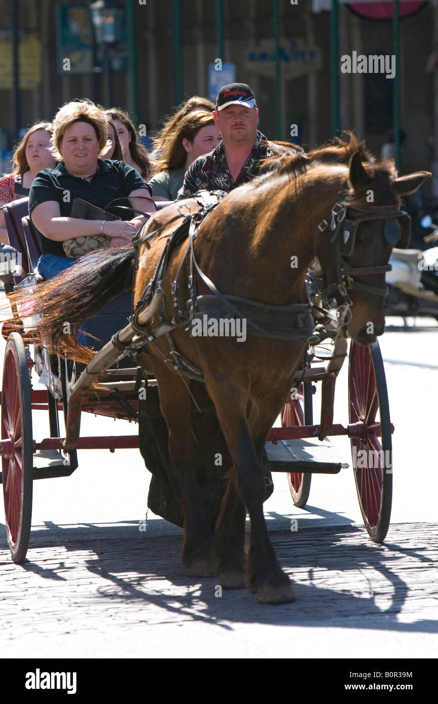 Cavallo e Carrozza nel filamento Quartiere di downtown Galveston Texas Foto Stock