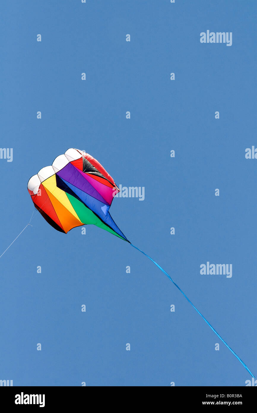 Il Kite in volo in un cielo blu a Gaveston Texas Foto Stock