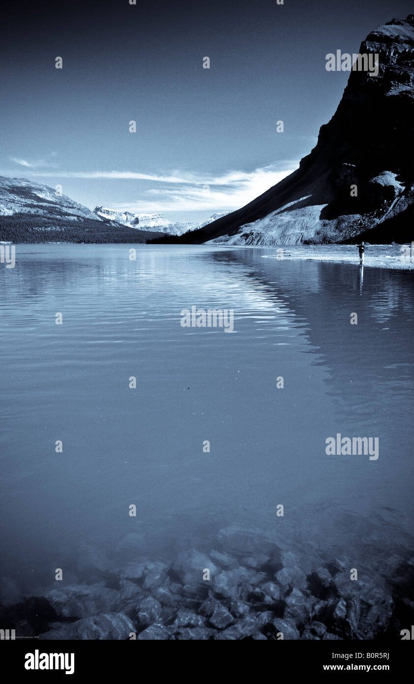 Tardo pomeriggio estivo da Bow Lake nelle Montagne Rocciose Canadesi, il Parco Nazionale di Banff, Alberta, Canada Foto Stock