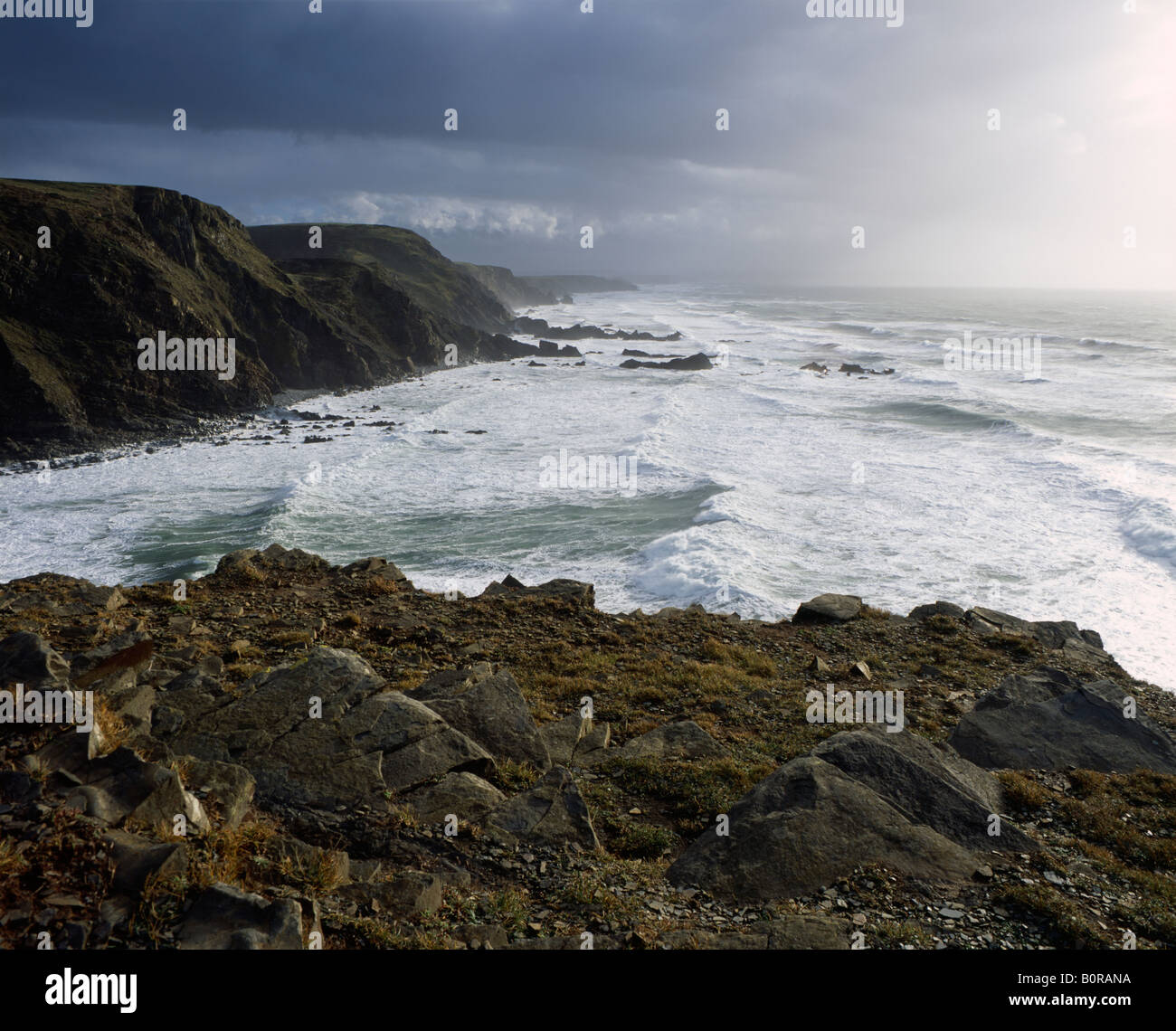 Duckpool vista da Steeple Point sulla costa nord della Cornovaglia vicino a Bude, Inghilterra Foto Stock