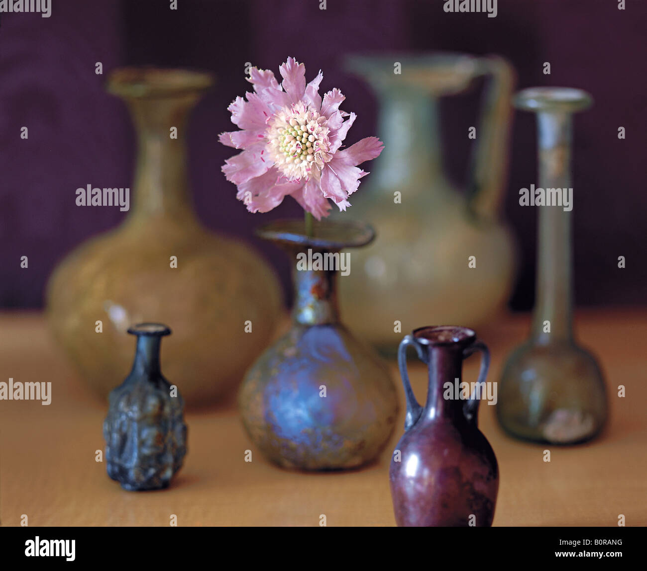 Vasi etruschi e fiore Foto Stock