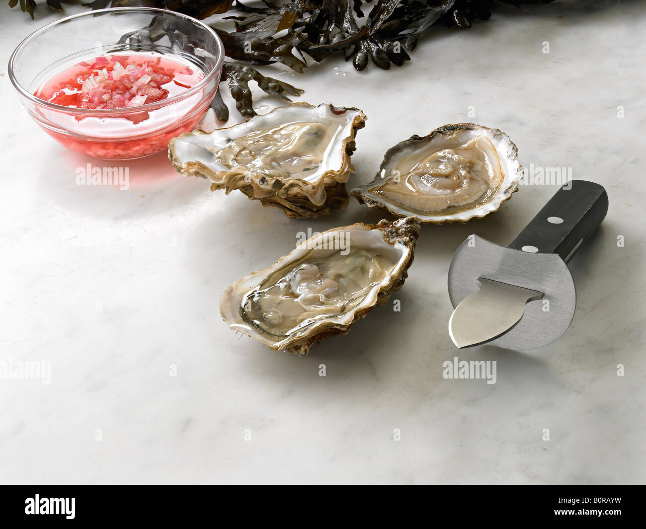 ostriche su coltello di marmo aceto di cipolla alghe Foto Stock