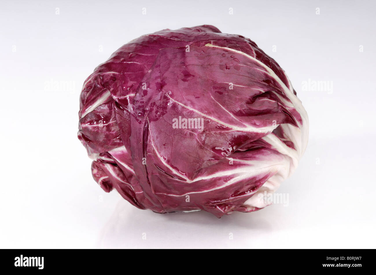 Radicchio cicoria a foglia Foto Stock