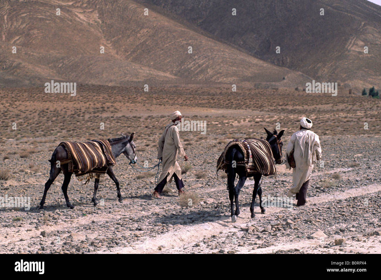 Il Marocco, montagne Atlas Foto Stock