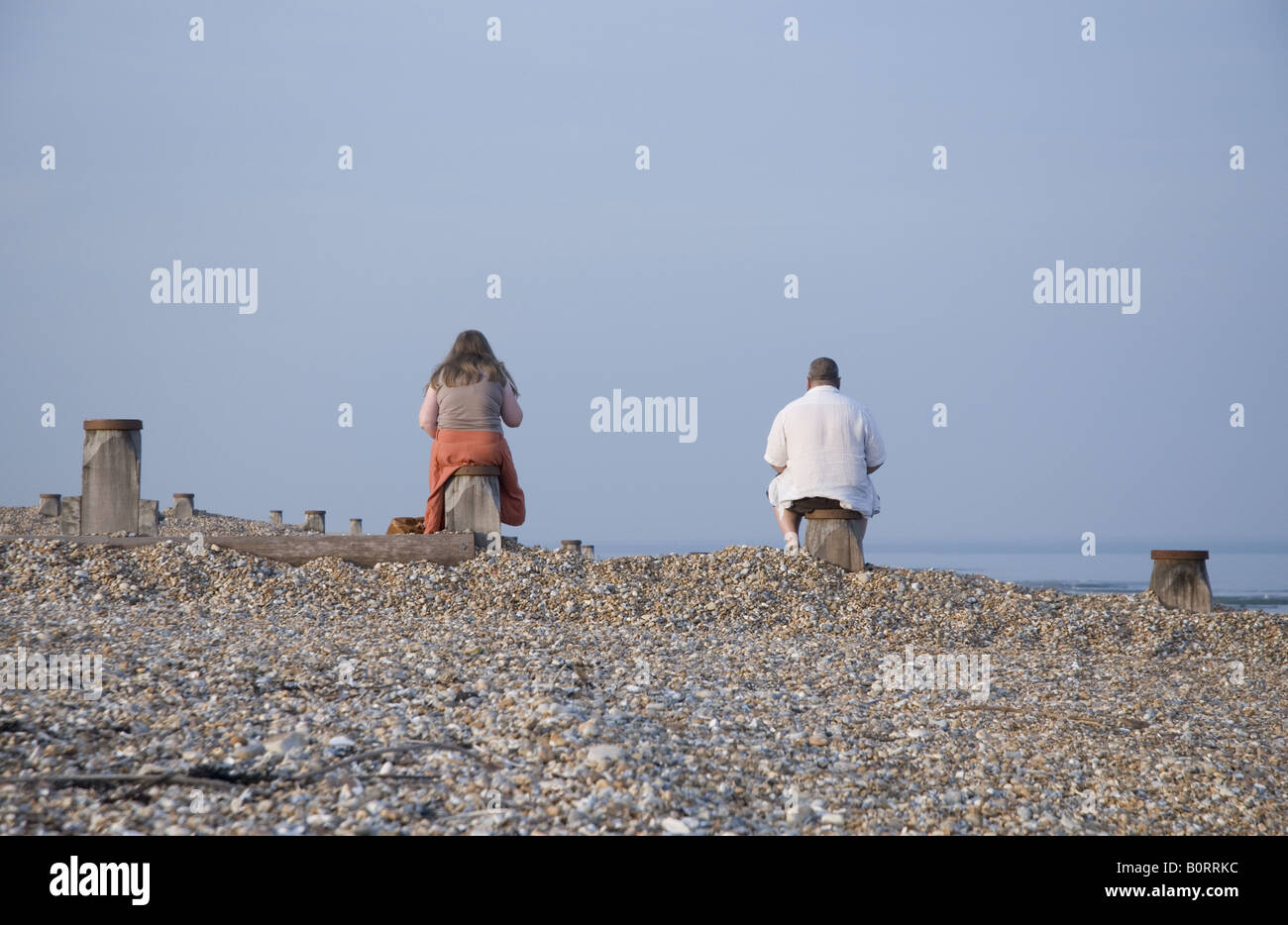 Maschio e femmina di mangiare seduti sui pennelli a livello a Pett beach Foto Stock