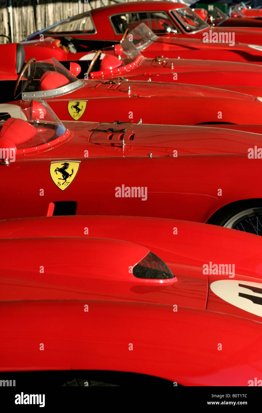 Il rosso Ferrari line-up nel paddock al Goodwood incontro, Sussex, Regno Unito. Foto Stock
