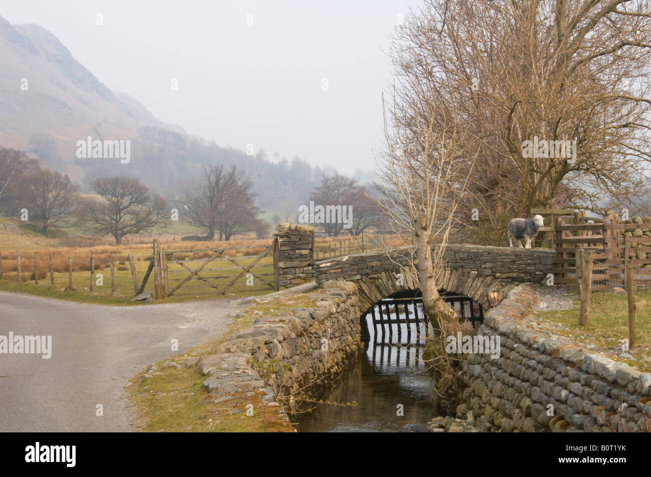 Caduto il piede Farm, Cumbria Foto Stock