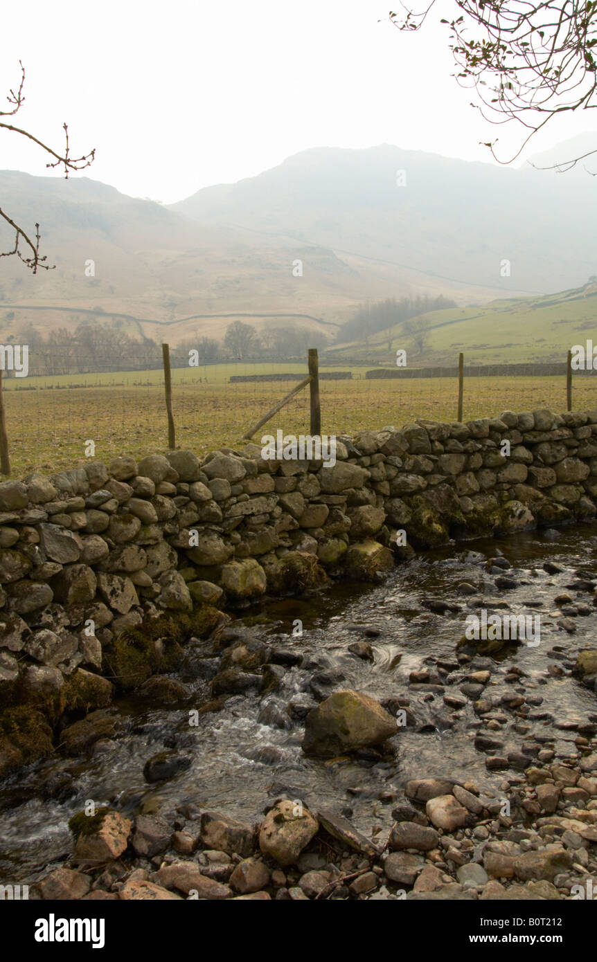 Stream, cadde piedi Farm, Cumbria Foto Stock