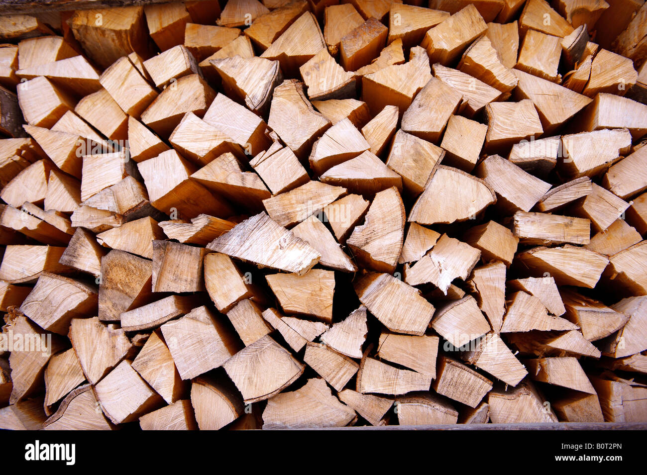 Estremità di taglio di legno in una pila di registro Foto Stock