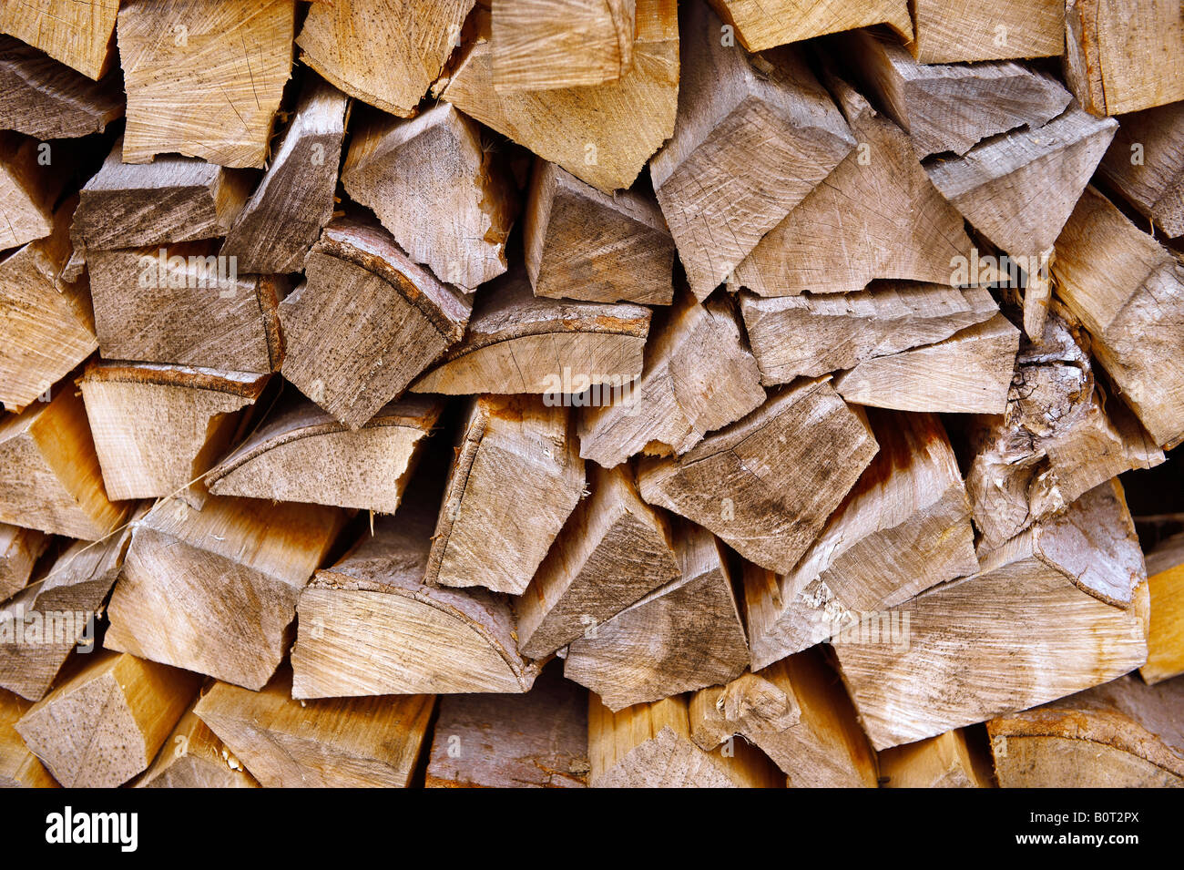 Estremità di taglio di legno in una pila di registro Foto Stock
