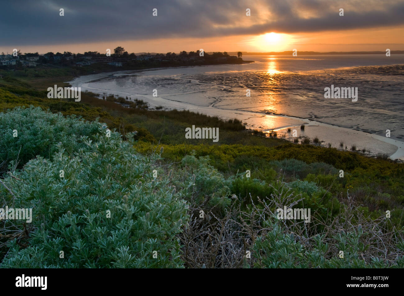 La nebbia al tramonto sopra la foresta foliatile e fango tidal flats di Morro Bay California Foto Stock