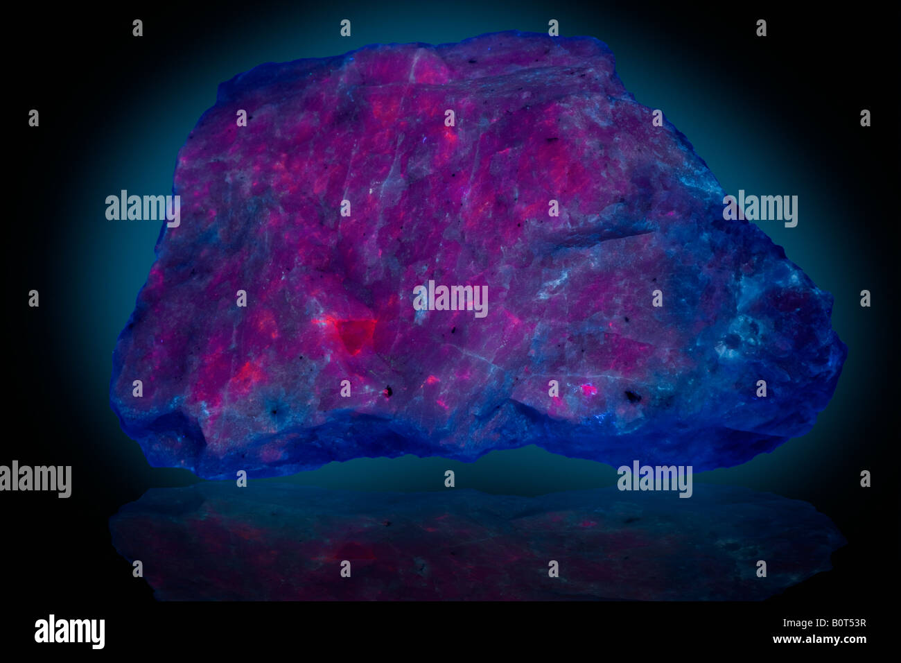 Sodalite varietà Hackmanite in luce ultra violetta, Davis Quarry Bancroft Ontario Canada Foto Stock