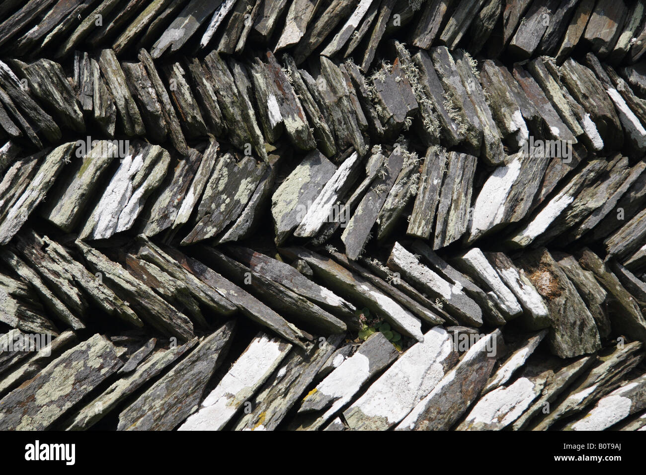 Boscastle di Tintagel sentiero costiero, Cornovaglia; in pietra a secco a copertura Foto Stock