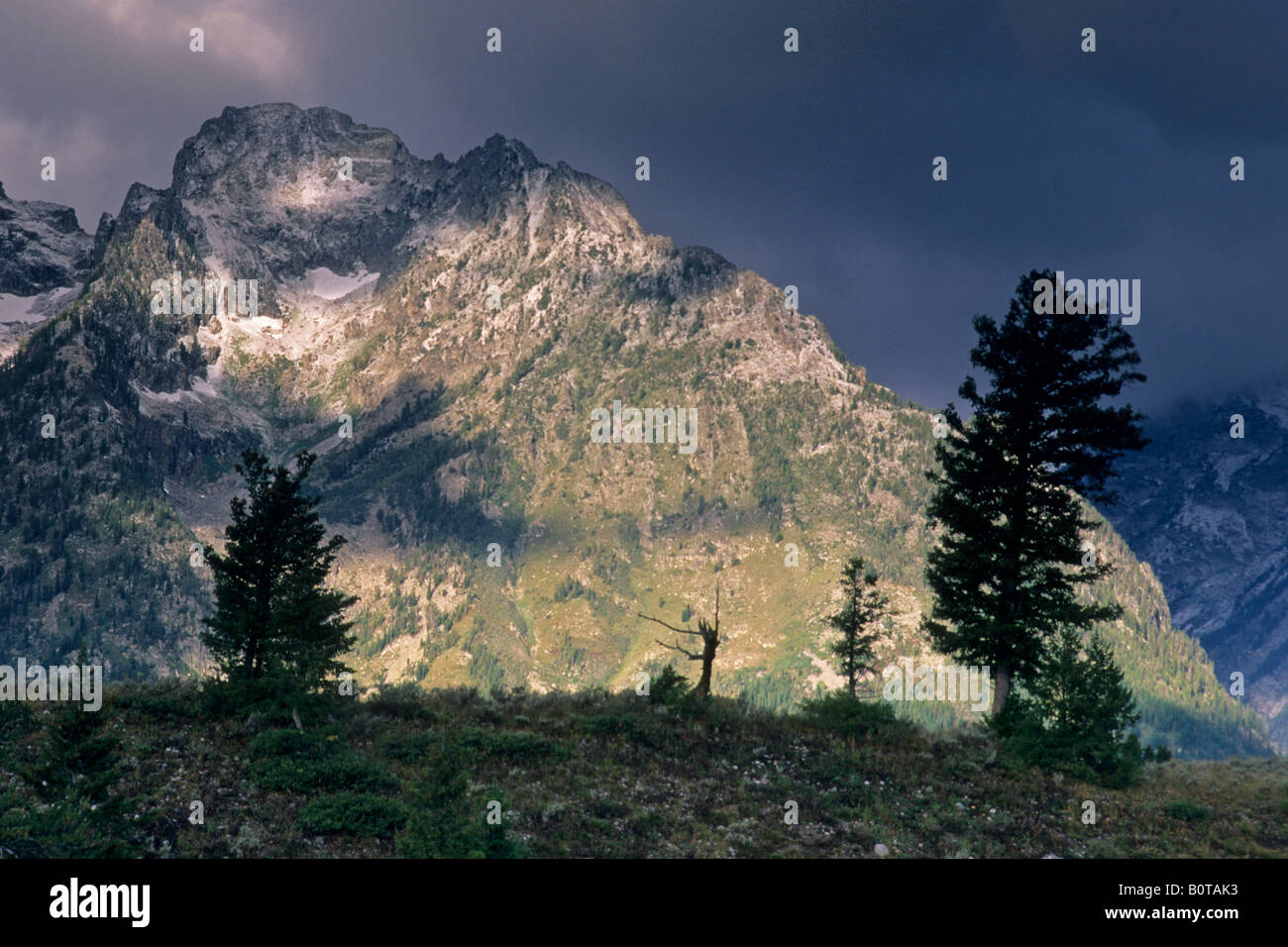 Gamma Teton rispolverato dalla prima tempesta di neve di caduta di Grand Teton Nat l Pk Wyoming Foto Stock