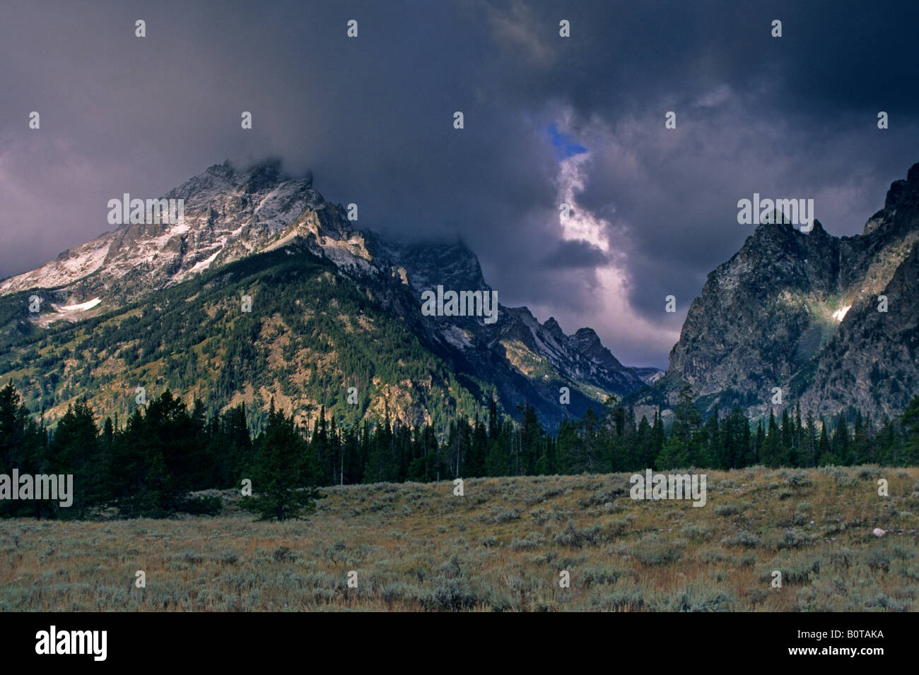 Gamma Teton rispolverato dalla prima tempesta di neve di caduta di Grand Teton Nat l Pk Wyoming Foto Stock