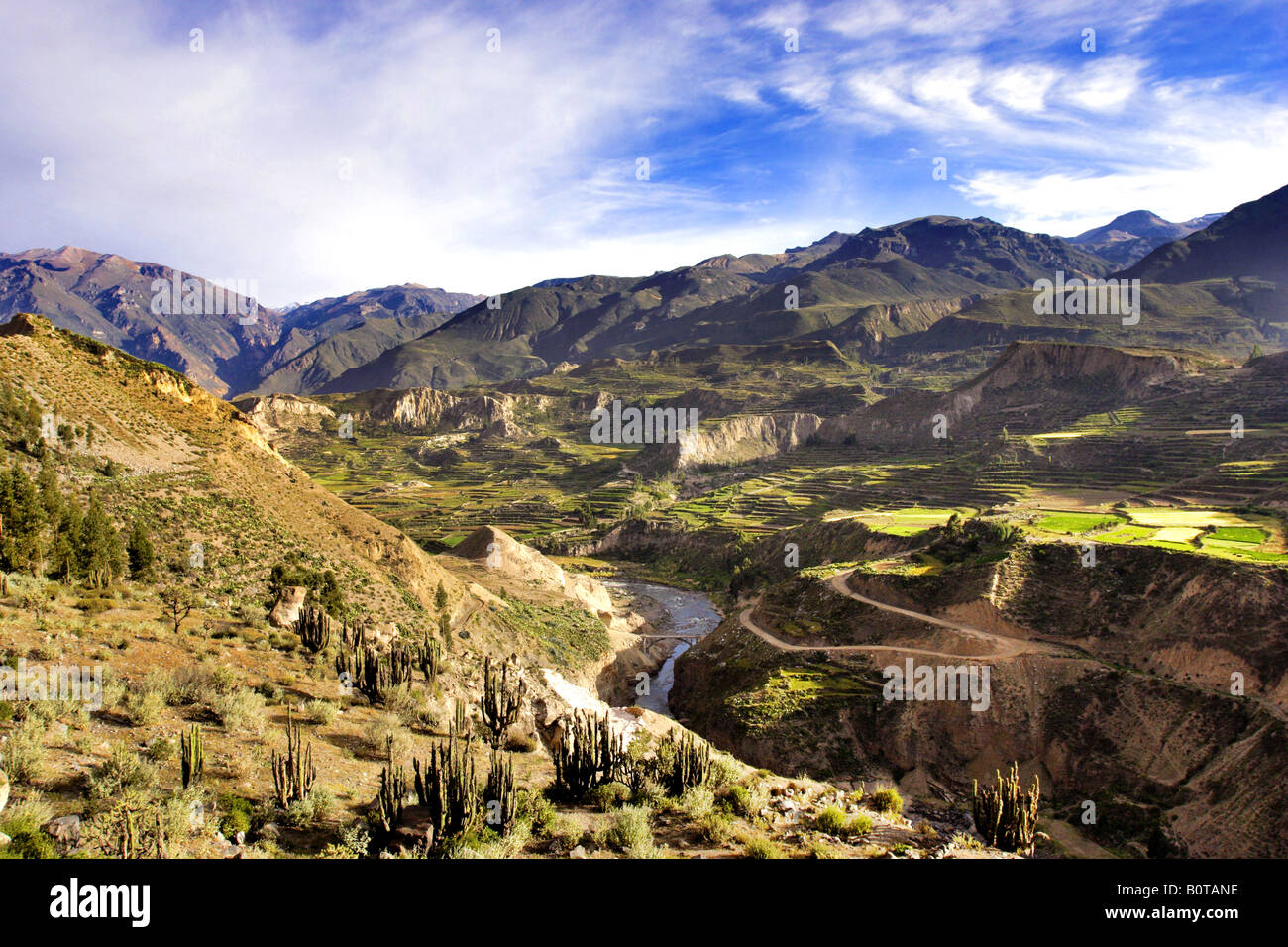 Il Canion del Colca che mostra le terrazze Incas, Perù Foto Stock