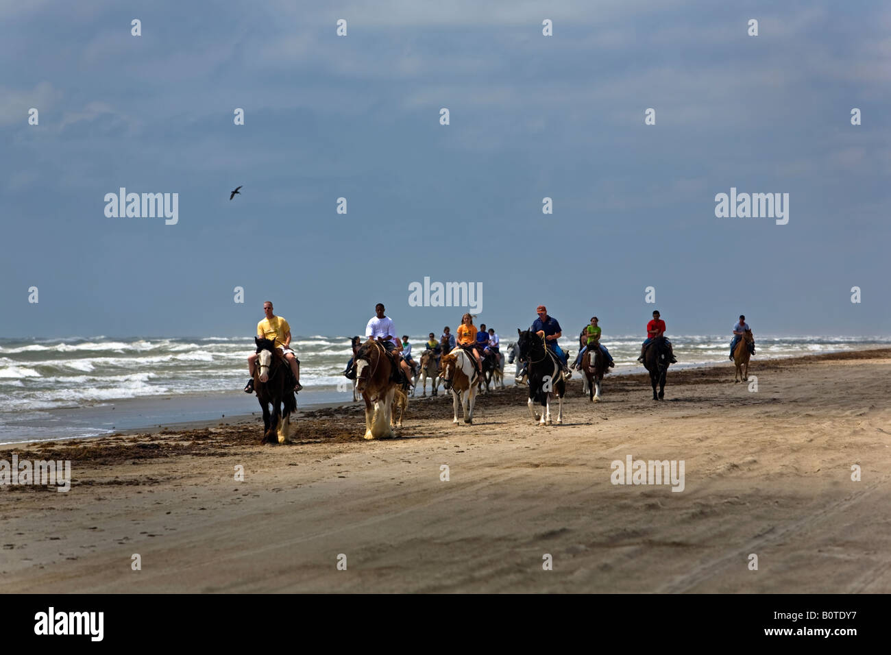 Passeggiate a cavallo sulla spiaggia Corpus Texas Golfo del Messico Foto Stock