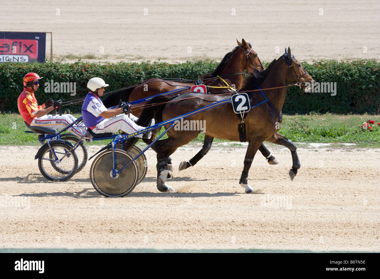 Malta Horse Racing via Marsa Malta Foto Stock