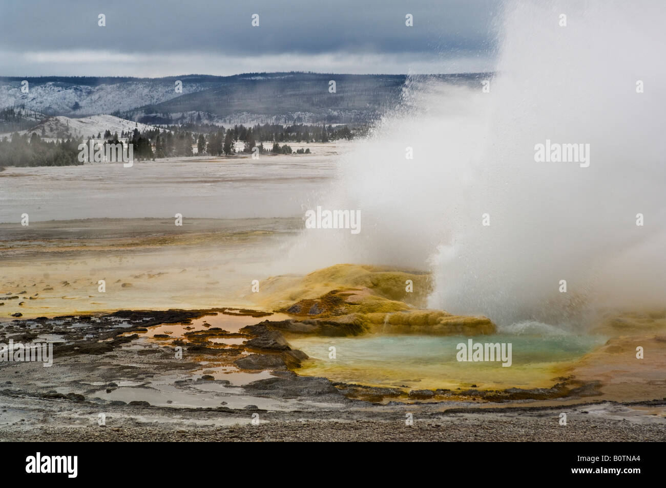 Lo spasmo geyser che erutta su un burrascoso mattina autunnale abbassare Geyser Basin Parco Nazionale di Yellowstone Wyoming Foto Stock