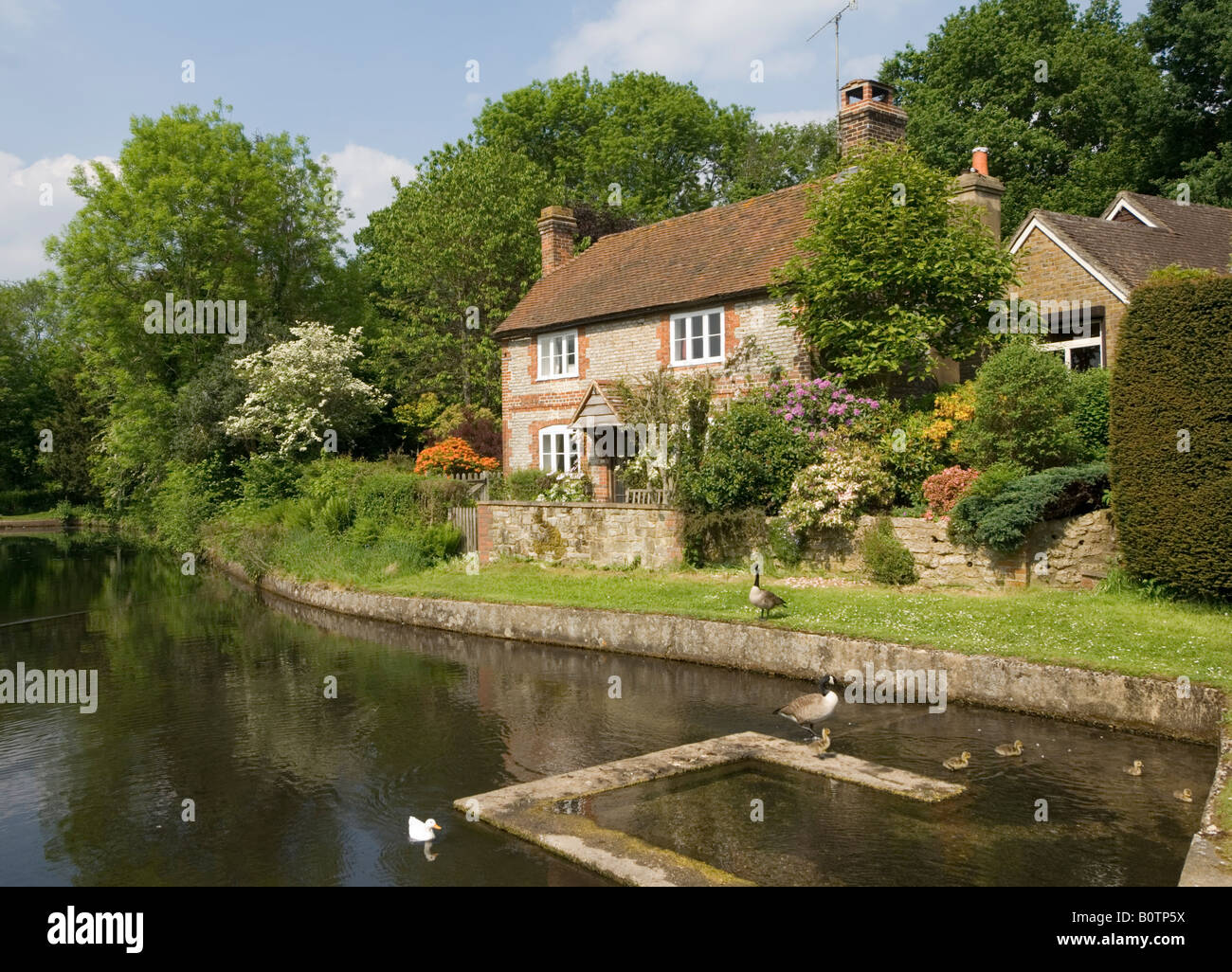 Cottage Shottermill Haslemere Surrey UK Foto Stock