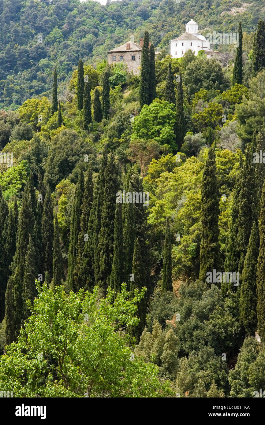 Paesaggio con cipresso vicino al monastero bulgaro di Zografou, la penisola del Monte Athos Halkidiki, la Grecia, la cappella di San Giorgio in cima Foto Stock
