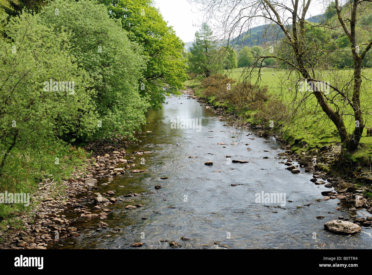 Fiume YSTWYTH PONTRHYDYGROES CEREDIGION NEL GALLES Foto Stock
