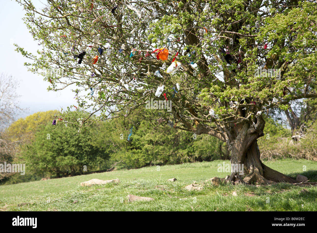 Offerte attaccato a una fata Thorn Tree sulla collina di tara nella contea di Meath, Repubblica di Irlanda Foto Stock