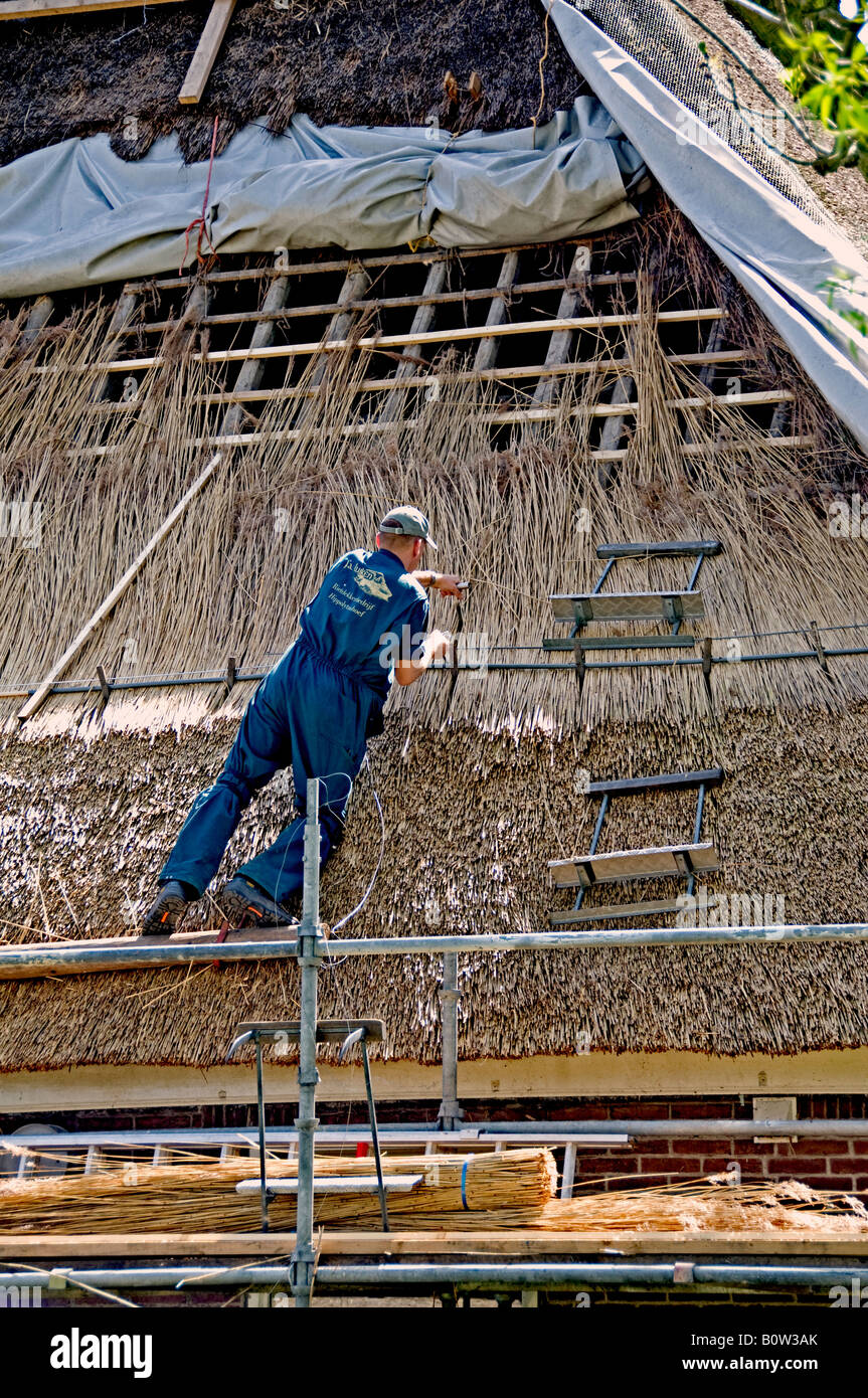 La Thatcher reed Roof casa paesi Bassi Olanda settentrionale olandese Anna Paulowna polder farm house Foto Stock