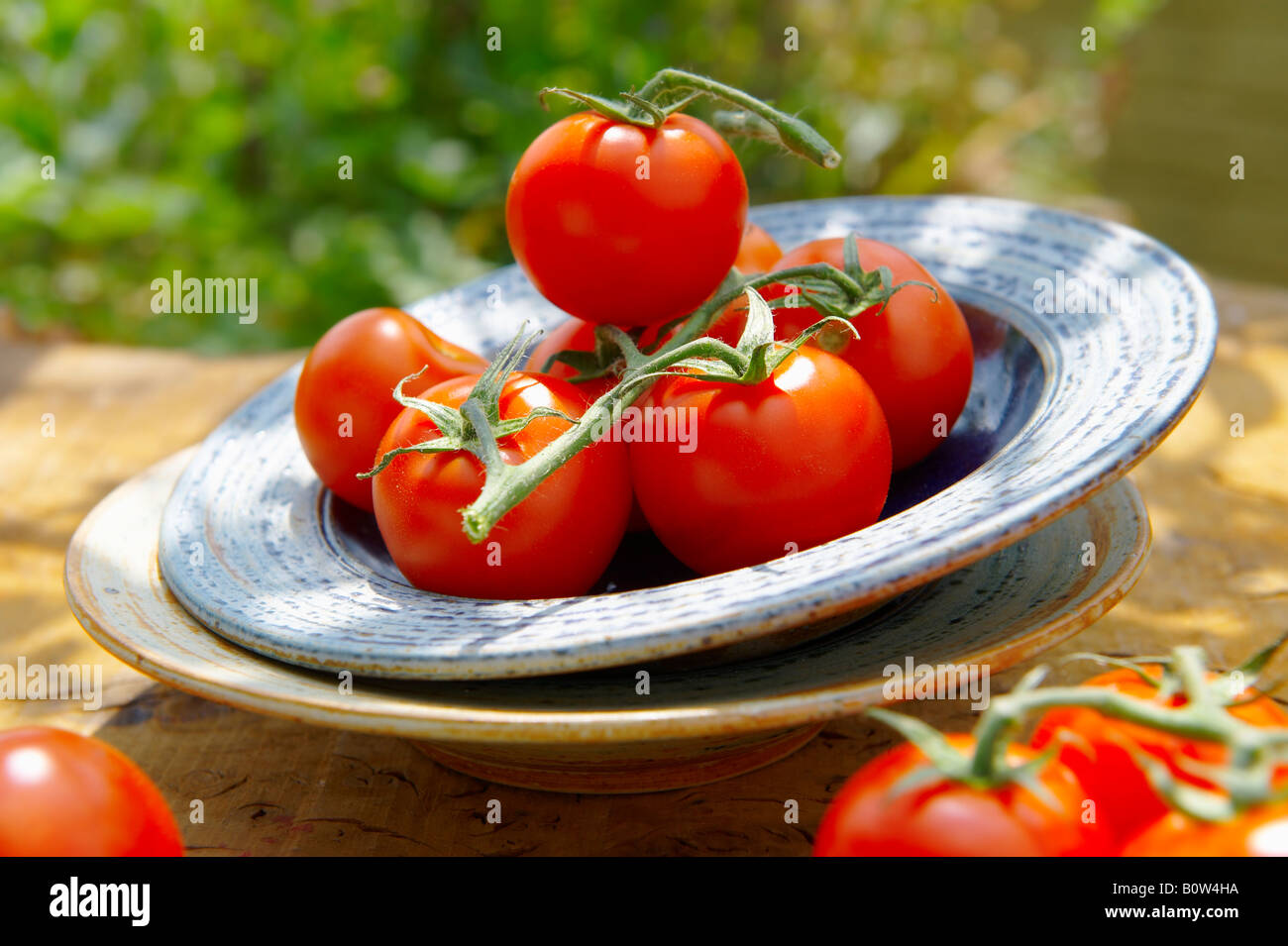 Pomodori biologici freschi raccolti sulla vite in una ciotola su un tavolo da giardino in legno al sole Foto Stock