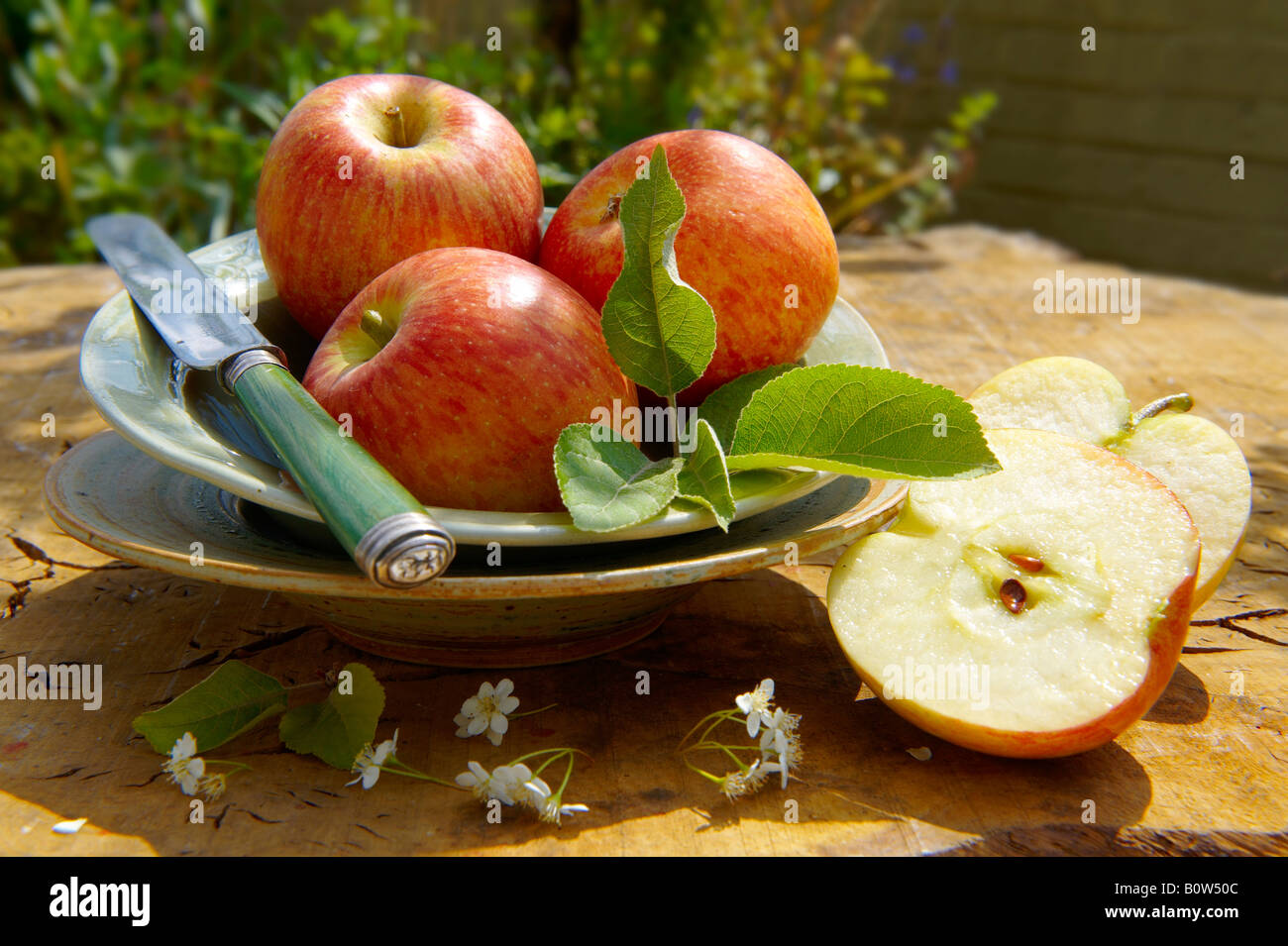 Mele Braeburn su un piatto su un tavolo da giardino in il sole Foto Stock