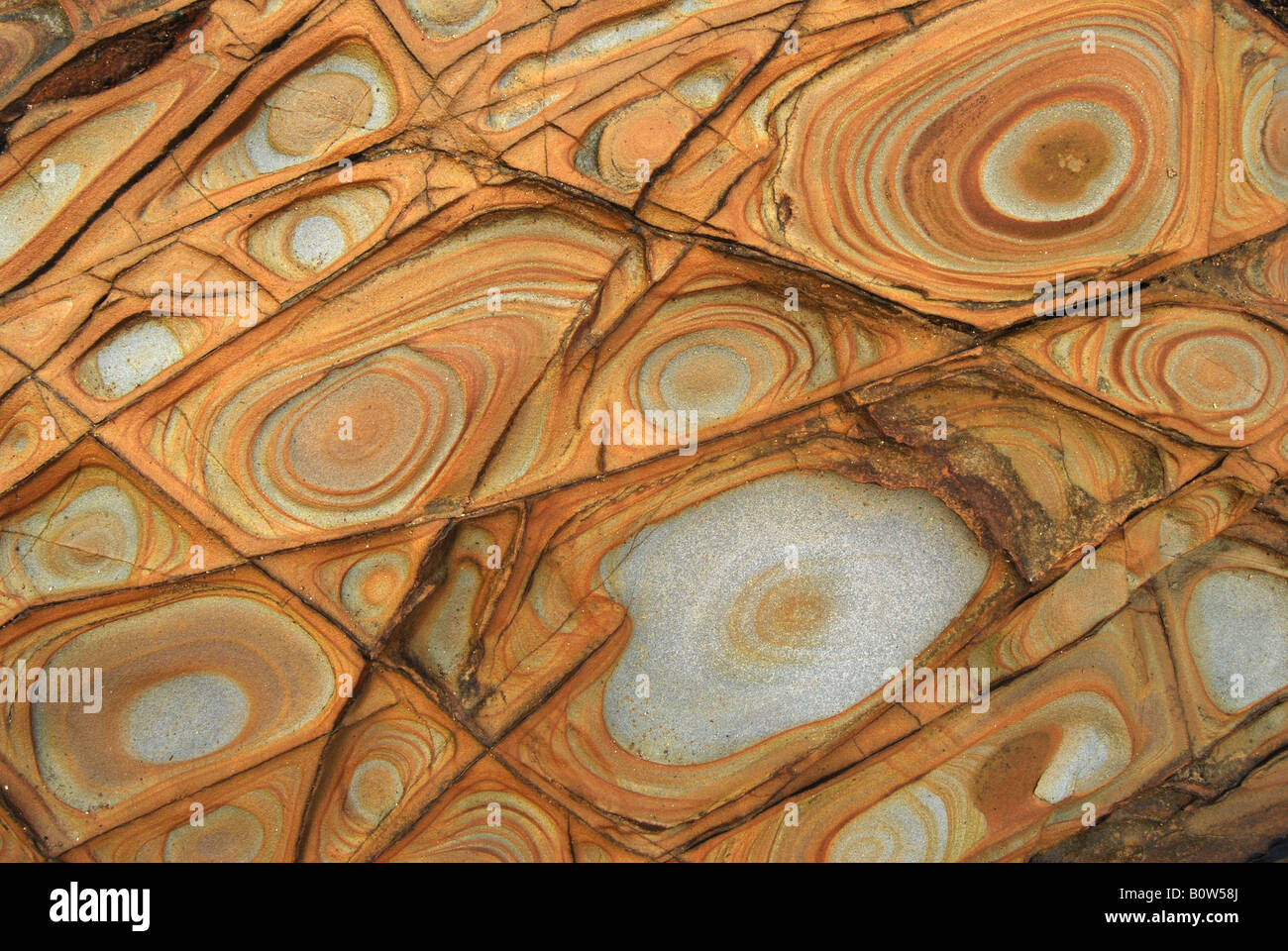 Le formazioni rocciose, Widemouth Bay Bude, North Cornwall, Inghilterra, Regno Unito. Foto Stock